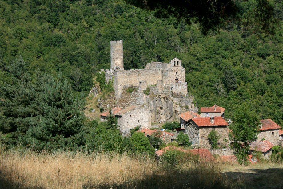 Au Nid d'hirondelles Villa Saint-Andre-de-Chalencon Kamer foto