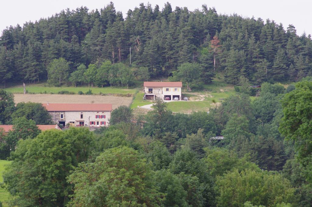 Au Nid d'hirondelles Villa Saint-Andre-de-Chalencon Kamer foto