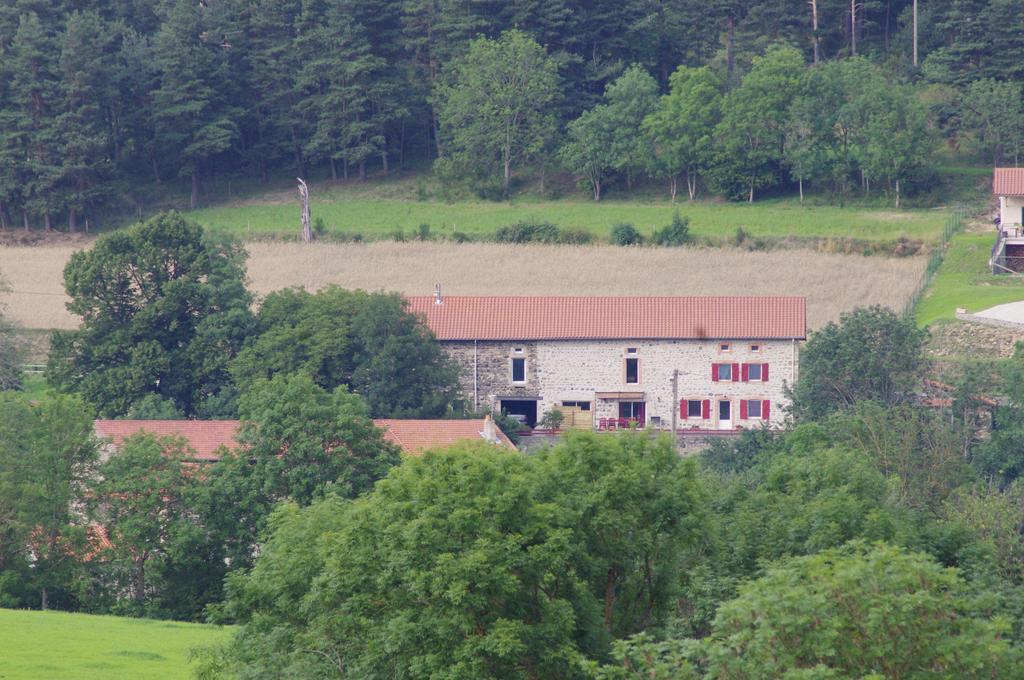Au Nid d'hirondelles Villa Saint-Andre-de-Chalencon Kamer foto